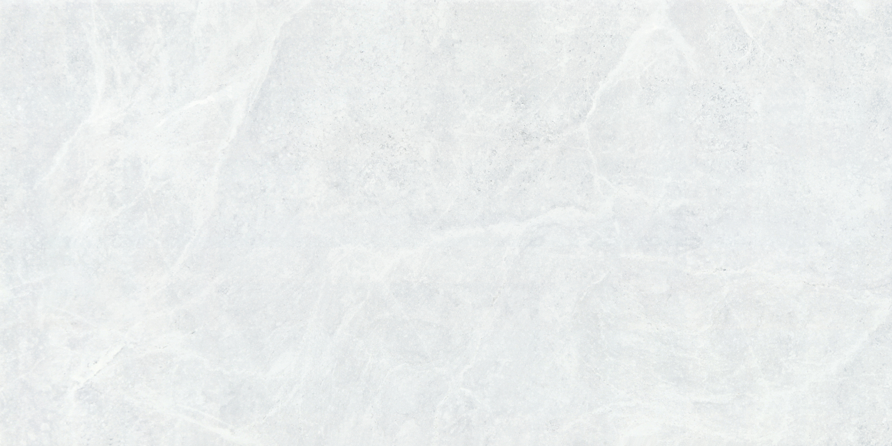 NALEA GRIS CLARO CD RECTIFICADO 30X60 (1.62)-9